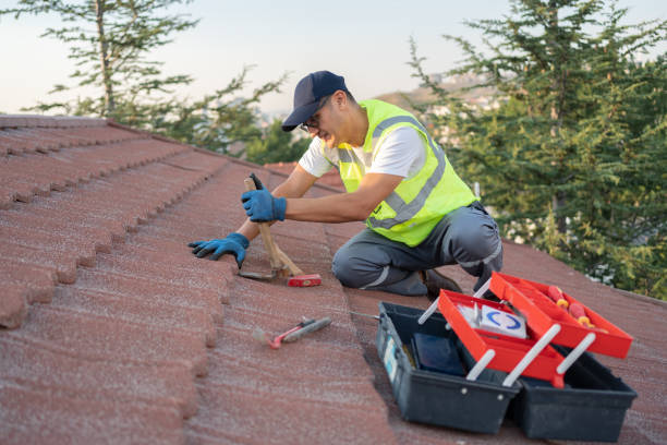 Best Roof Maintenance Services  in Emma, NC